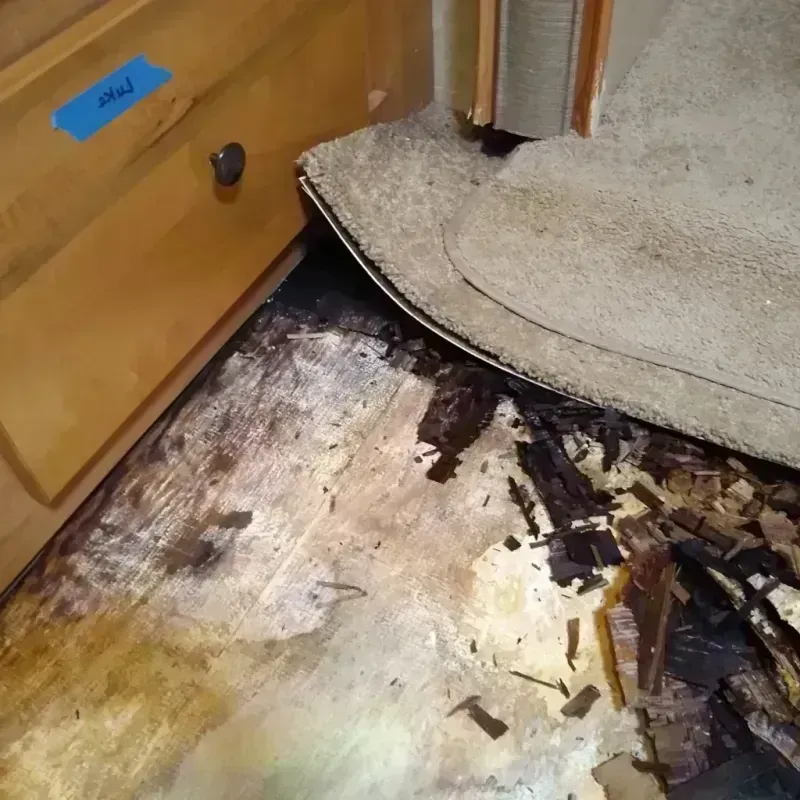 Wood Floor Water Damage in Sedgwick County, CO